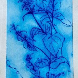 etching of a flower