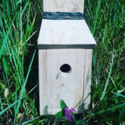 Woodworking Skills for Women - 7th May 2027 - £135