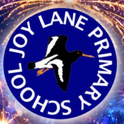 Joy Lane Primary School Firework event