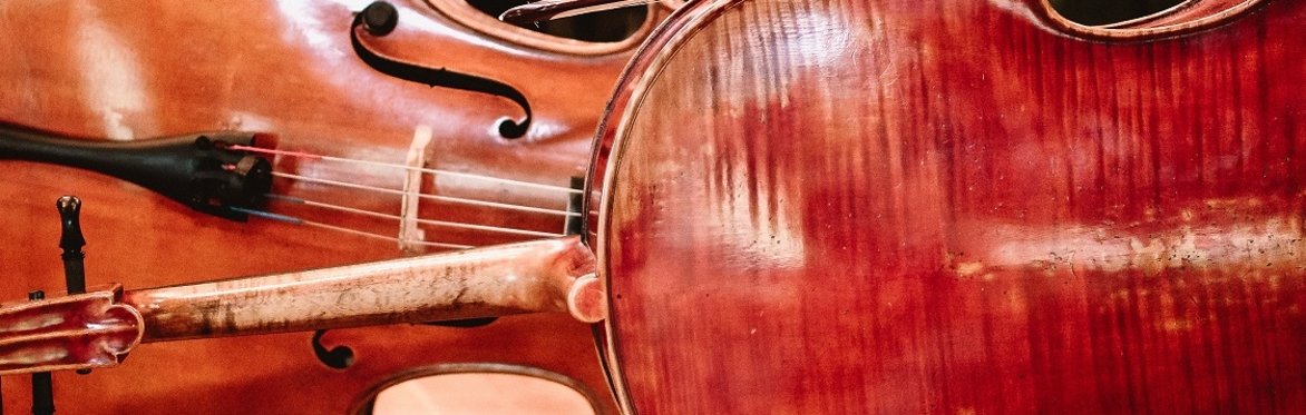 'Mainely' Chamber Music - Finale