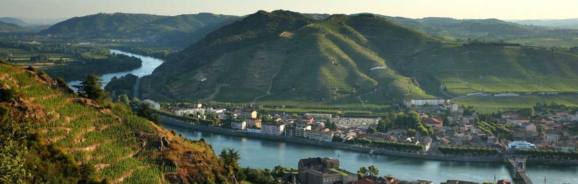Wine & Dine with the wines of the Northern Rhône with Delas Frères