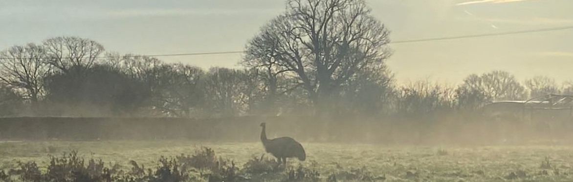 Open Farm Sunday