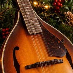 A Mandolin and Christmas Decorations