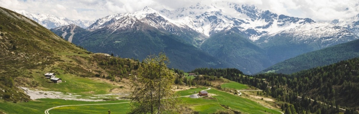 Escursione guidata: Val Vezzola con visita all'apiario in quota