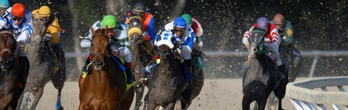 Horse Racing at Tampa Bay Downs - Chef prepared buffet - Round Trip Transportation