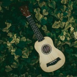 Songs of our Lives: Weaving the Tapestry- Drop-in Music Therapy Workshop- Alma