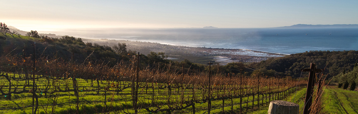 Friday Night Wine School Road Trip Down the Pan American Highway, Part II