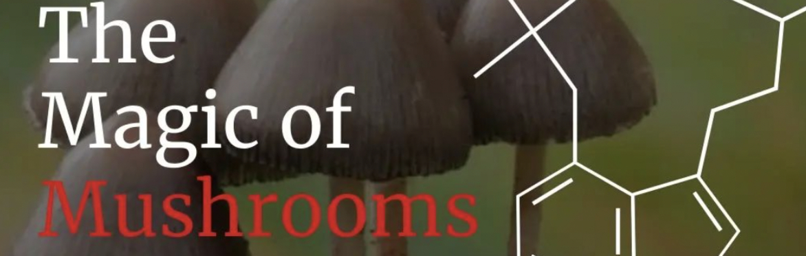 The Magic of Mushroom Live online