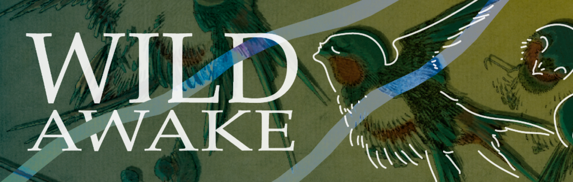 Wild Awake - East Kent Summer Weekend Retreat