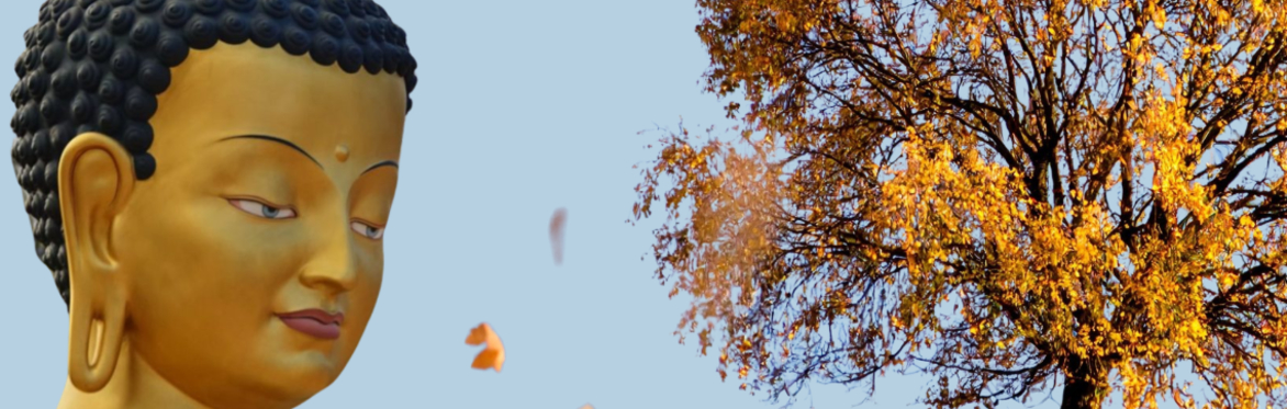A Buddhist Perspective on Ageing half day course