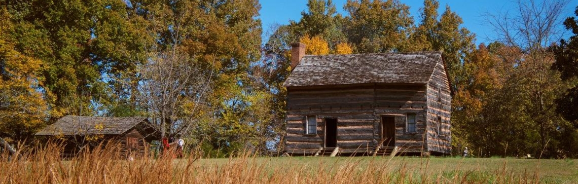 Two log cabins in a clearing