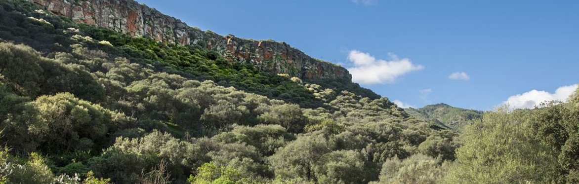 Falcon Ravine Guided Hike – CanCanaria Adventure Week 2027