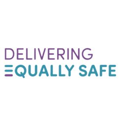 Delivering Equally Safe fund logo