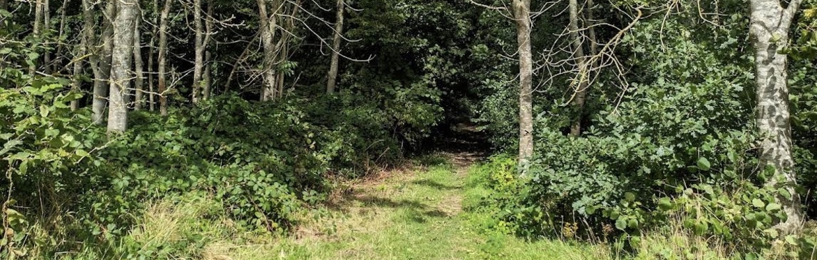 Burroughs Woods & Whittington Rough Circular