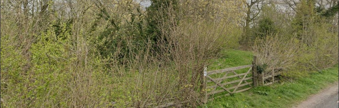 Hedgelaying on the Wirral Way