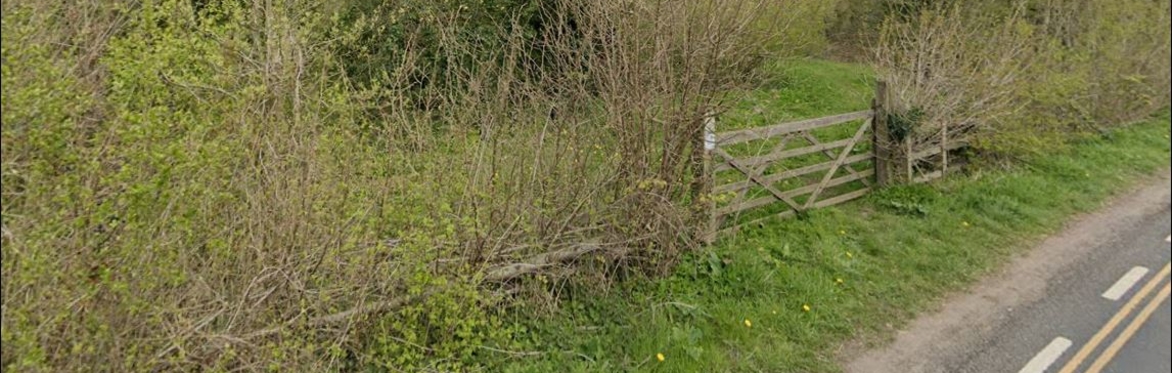 Scything and weeding at Thornton Common