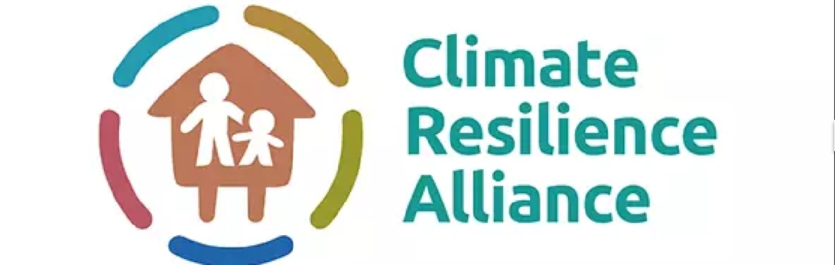 Financing climate adaptation - role of the private sector
