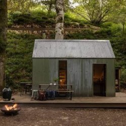 Unfurl:              spring in the scottish highlands