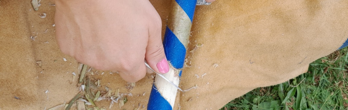 Wood Whittling
