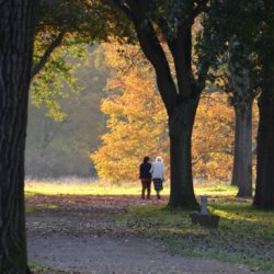 Walking Through Grief