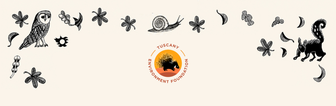 Tuscany Environment Foundation Fundraising Dinner