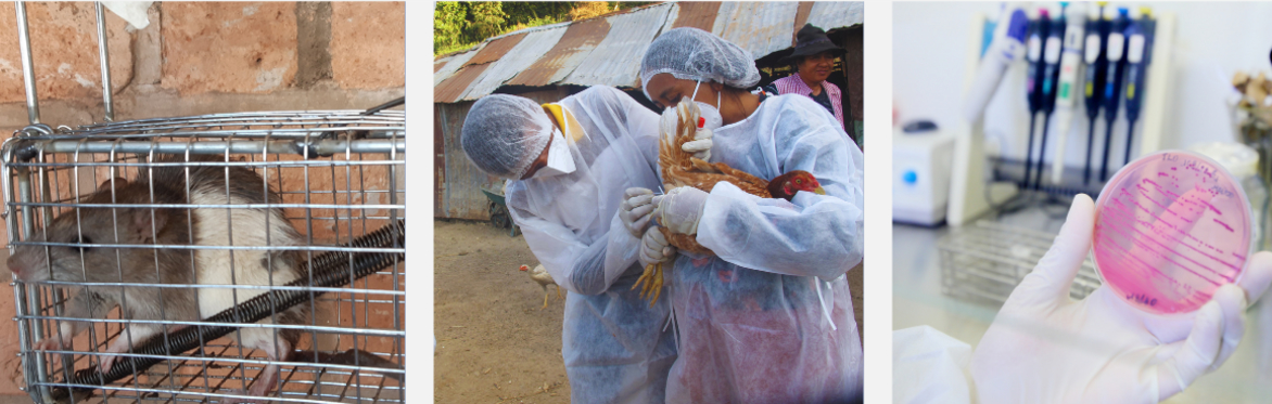 Symposium National sur les Maladies Zoonotiques à Madagascar