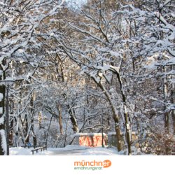 Wintertreffen für unsere Ehrenamtlichen