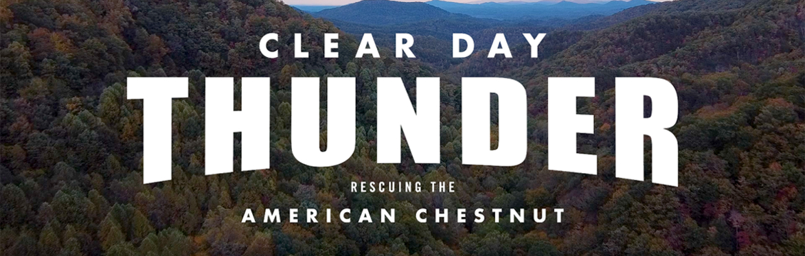 "Clear Day Thunder: Rescuing the American Chestnut" Screening at Grateful Brew