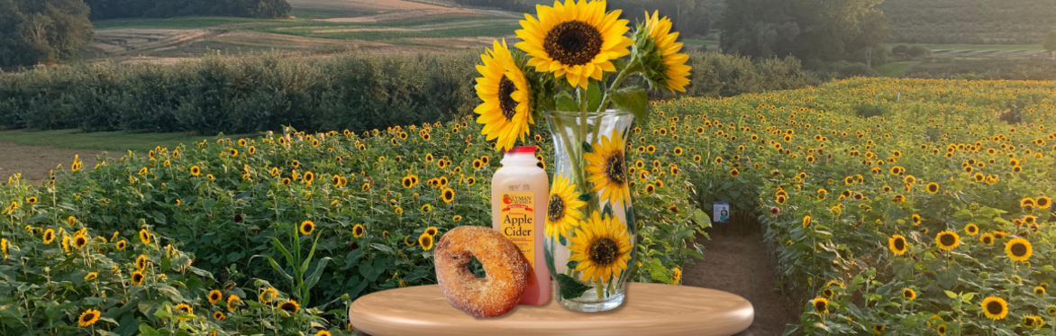 Sunflower Vase Paint and Sip
