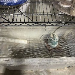 Pottery Workday: Water System Maintenance