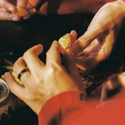 herbal medicine course