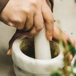 herbal medicine course