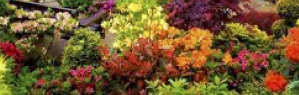 ROTARY CLUB OF CHELTENHAM NORTH - A GARDENER'S QUESTION EVENING