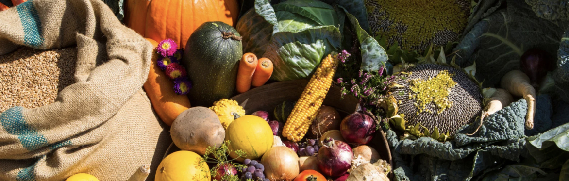 Glasbren Harvest Celebration