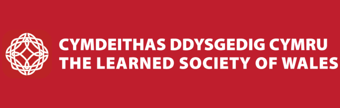 Sesiwn Cymrodyr y Dyfodol | Future Fellows Session - for anyone from an ethnic minority background
