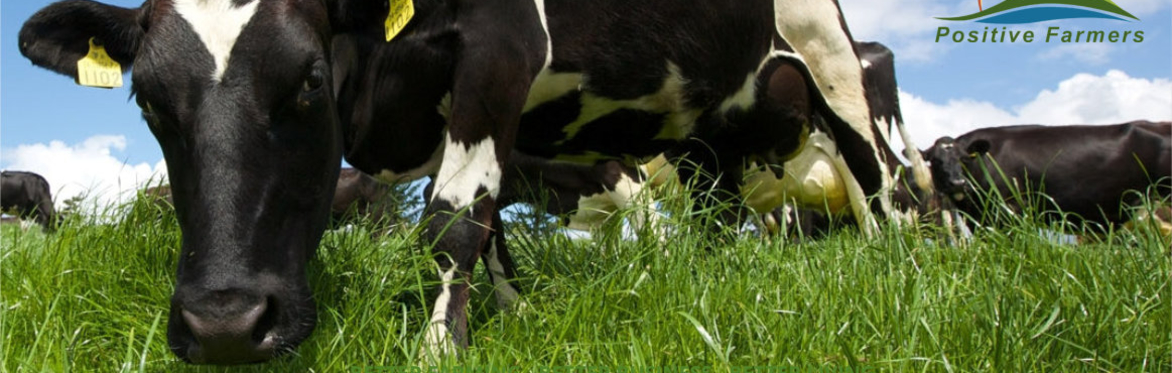 2022 Positive Farmers Conference