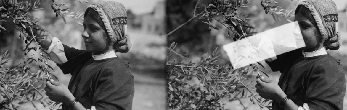 Resisting Erasure: Palestine, Neutrality, and the Politics of Silence