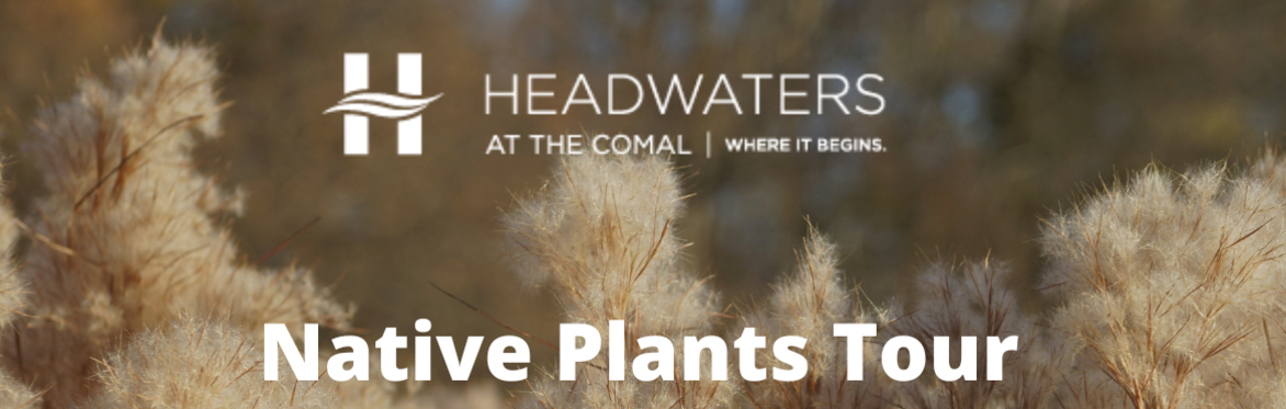 Restoration Tour: Native Plants