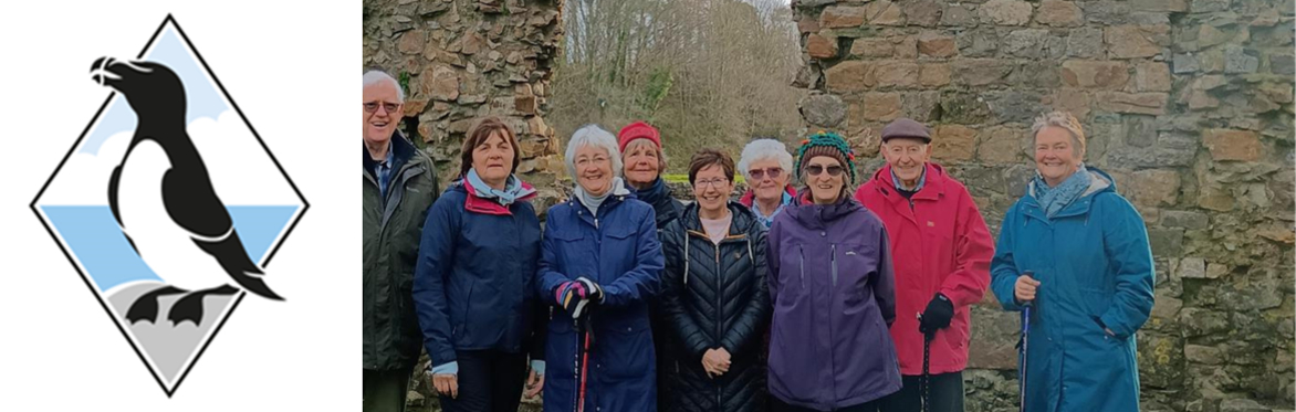 Cerdded ar gyfer Llesiant - Hwlffordd    -   Walking for Wellbeing - Haverfordwest