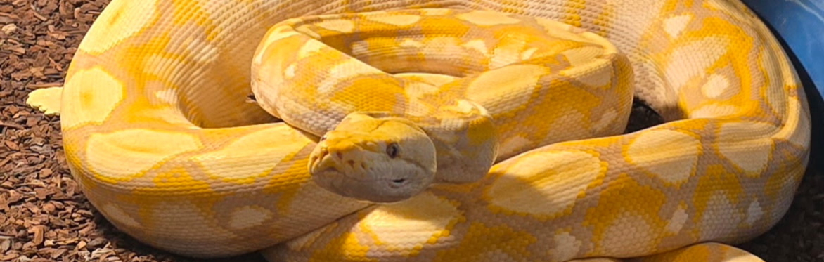 2026 Magic Valley Exotic Pet Expo