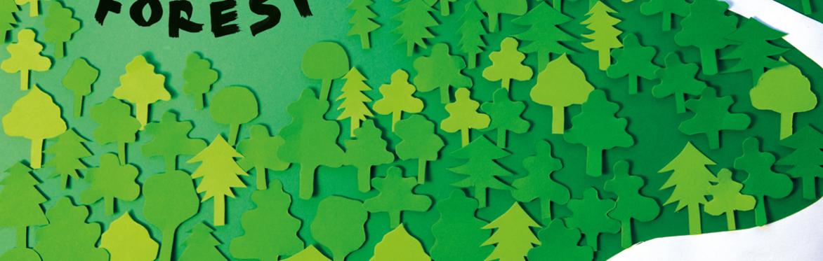 🌲 The Forest 🌳 Improv Comedy