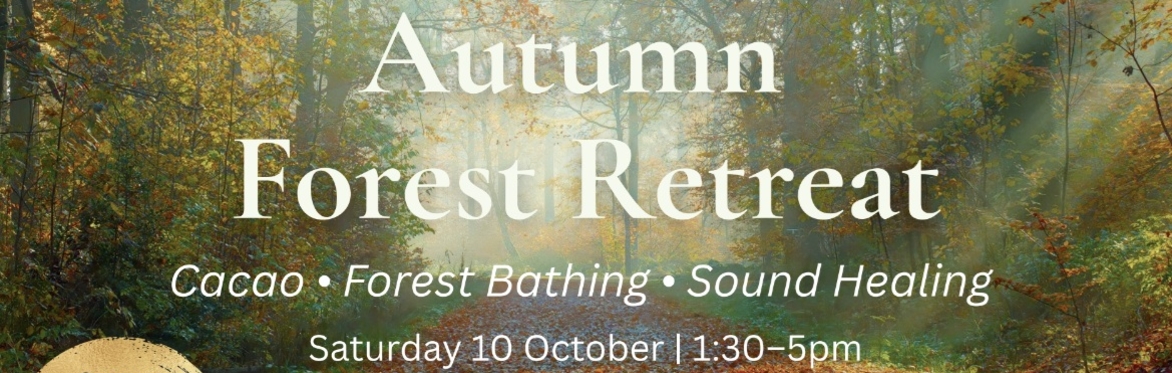 Autumnal forest retreat