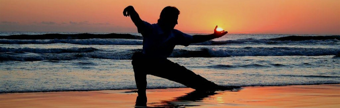 Tai Chi at Wildflower Tea Rooms