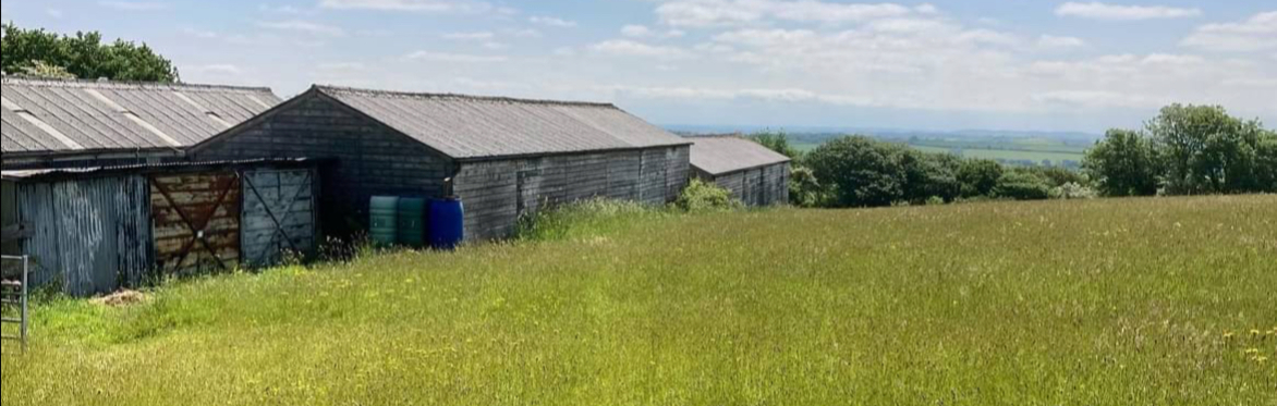 Free Public Tours - Pentiddy and Tregovenek Community Farm