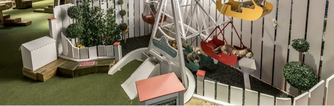 Caddies mini golf! Bumper cars & ballpit!!