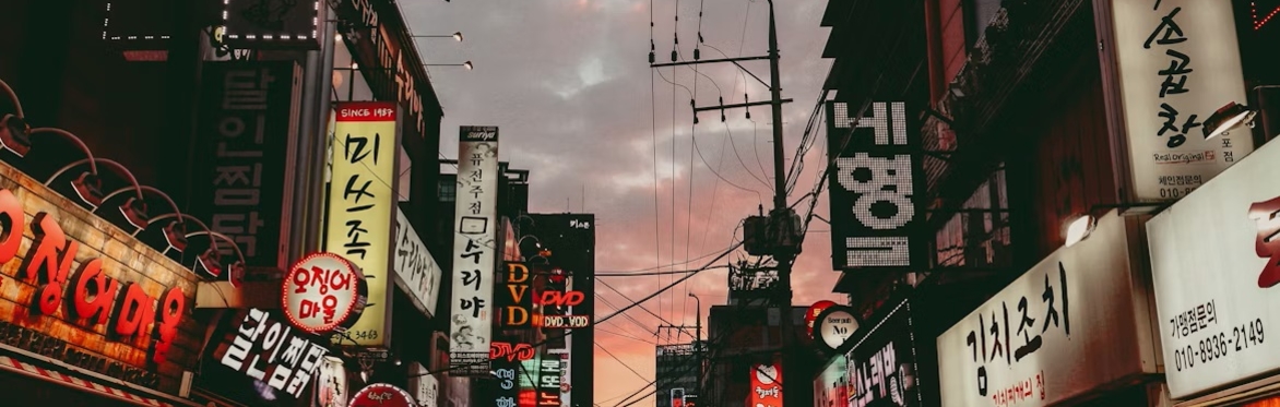 From South Korea to the World: Korean Literature in Translation