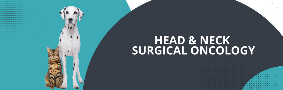 Head and Neck Surgical Oncology Workshop