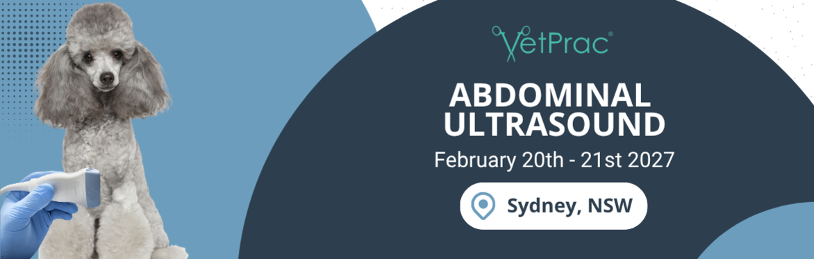 Abdominal Ultrasound Sydney