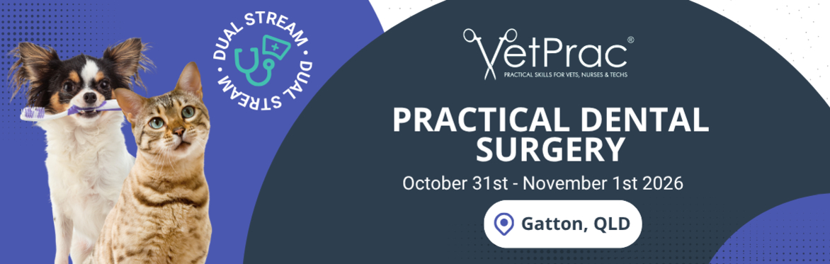 Practical Dental Surgery Workshop