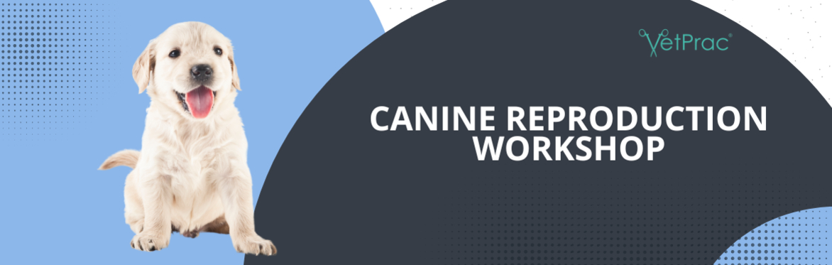 Canine Reproduction